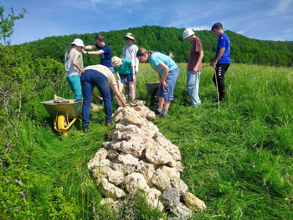 Nisthilfen für Wildbienen